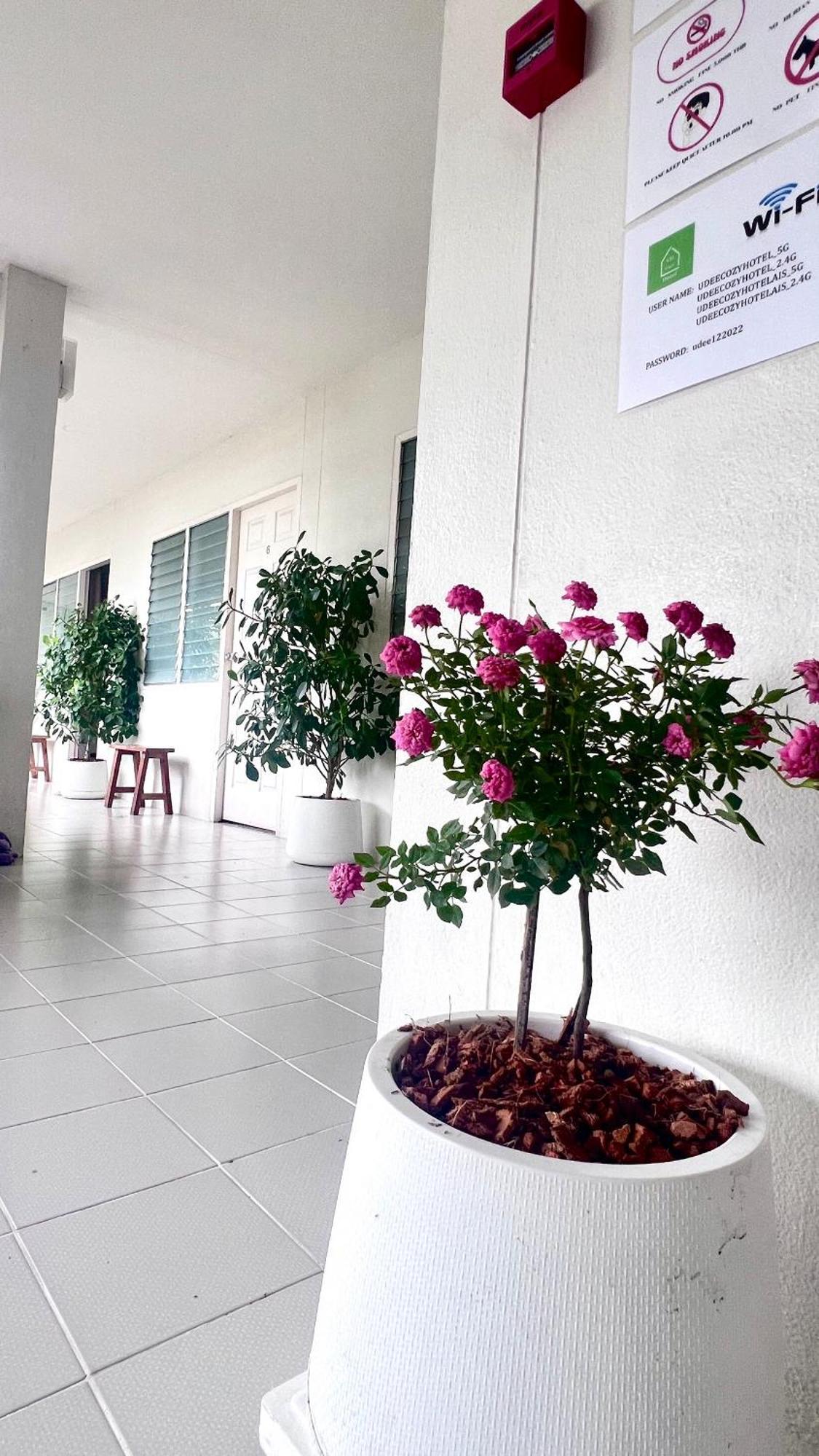 Udee Cozy Hotel Chiang Mai Exteriör bild